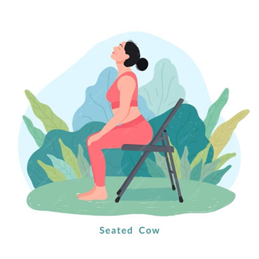 Chair Yoga - Cat and Cow