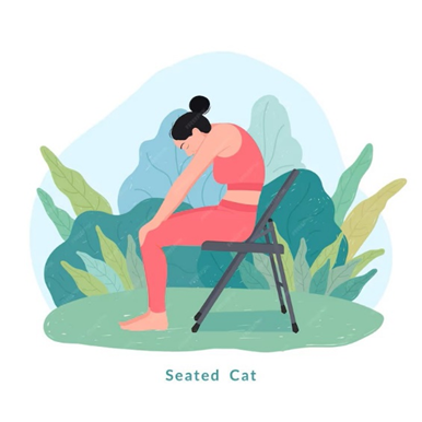 Chair Yoga - Cat and Cow